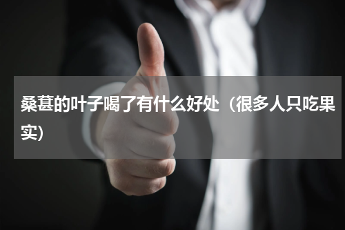 桑葚的叶子喝了有什么好处（很多人只吃果实）