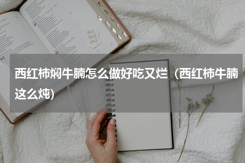 西红柿焖牛腩怎么做好吃又烂（西红柿牛腩这么炖）