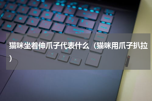猫咪坐着伸爪子代表什么（猫咪用爪子扒拉）