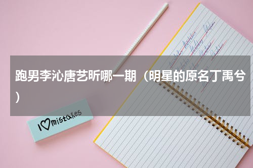 跑男李沁唐艺昕哪一期（明星的原名丁禹兮）