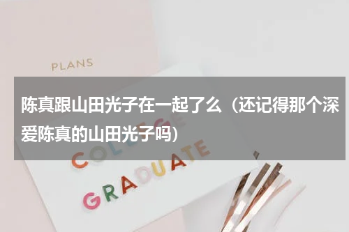 陈真跟山田光子在一起了么（还记得那个深爱陈真的山田光子吗）