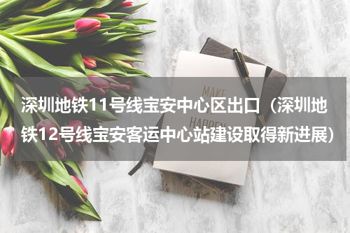 深圳地铁11号线宝安中心区出口（深圳地铁12号线宝安客运中心站建设取得新进展）