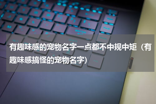 有趣味感的宠物名字一点都不中规中矩（有趣味感搞怪的宠物名字）