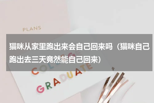 猫咪从家里跑出来会自己回来吗（猫咪自己跑出去三天竟然能自己回来）