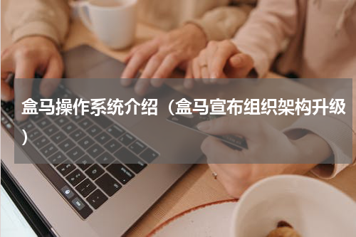 盒马操作系统介绍（盒马宣布组织架构升级）