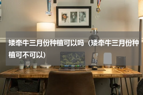 矮牵牛三月份种植可以吗（矮牵牛三月份种植可不可以）