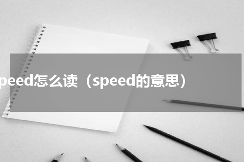 speed怎么读（speed的意思）
