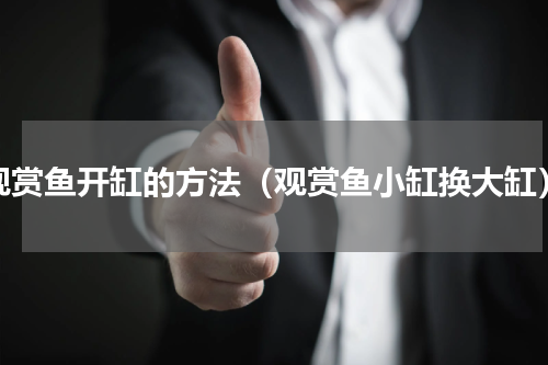 观赏鱼开缸的方法（观赏鱼小缸换大缸）