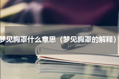 梦见胸罩什么意思（梦见胸罩的解释）