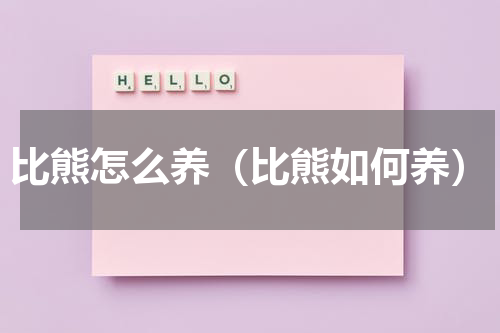 比熊怎么养（比熊如何养）