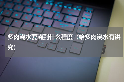 多肉浇水要浇到什么程度（给多肉浇水有讲究）