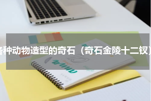 各种动物造型的奇石（奇石金陵十二钗）