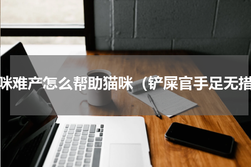 猫咪难产怎么帮助猫咪（铲屎官手足无措）