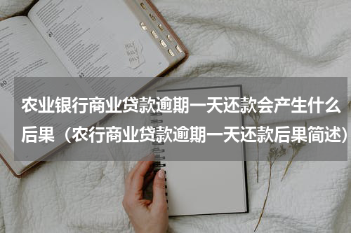 农业银行商业贷款逾期一天还款会产生什么后果（农行商业贷款逾期一天还款后果简述）