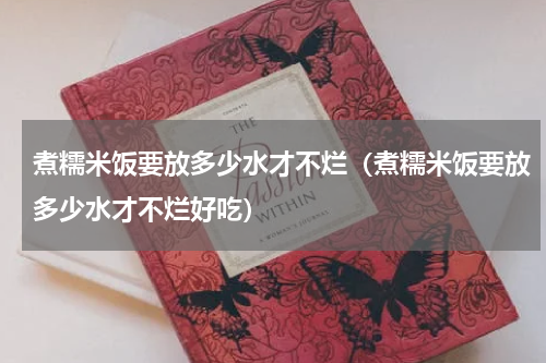 煮糯米饭要放多少水才不烂（煮糯米饭要放多少水才不烂好吃）