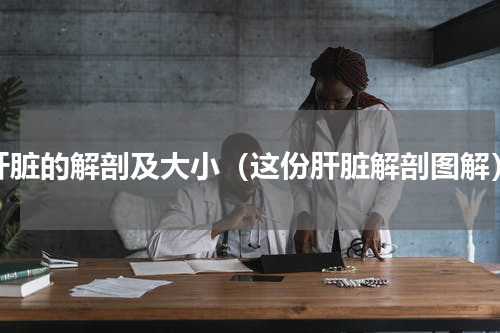 肝脏的解剖及大小（这份肝脏解剖图解）