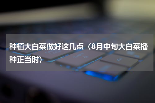 种植大白菜做好这几点（8月中旬大白菜播种正当时）