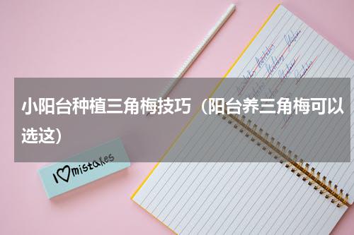 小阳台种植三角梅技巧（阳台养三角梅可以选这）
