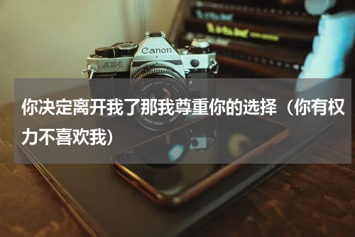 你决定离开我了那我尊重你的选择（你有权力不喜欢我）
