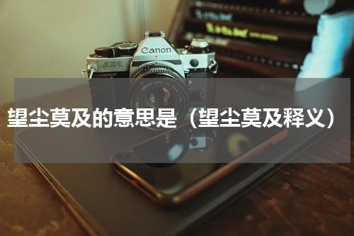 望尘莫及的意思是（望尘莫及释义）