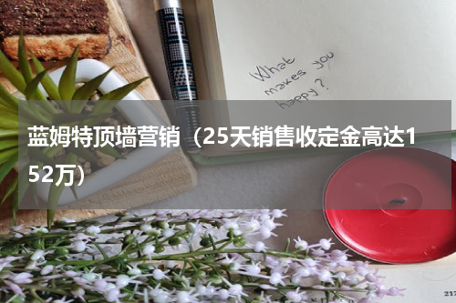 蓝姆特顶墙营销（25天销售收定金高达152万）