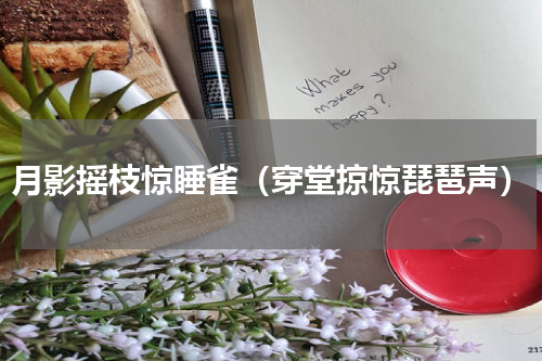 月影摇枝惊睡雀（穿堂掠惊琵琶声）
