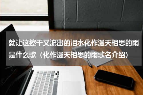 就让这擦干又流出的泪水化作漫天相思的雨是什么歌（化作漫天相思的雨歌名介绍）
