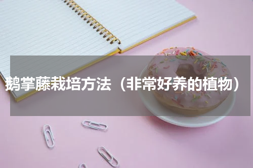 鹅掌藤栽培方法（非常好养的植物）