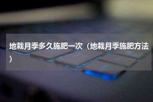 地栽月季多久施肥一次（地栽月季施肥方法）