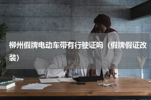 柳州假牌电动车带有行驶证吗（假牌假证改装）