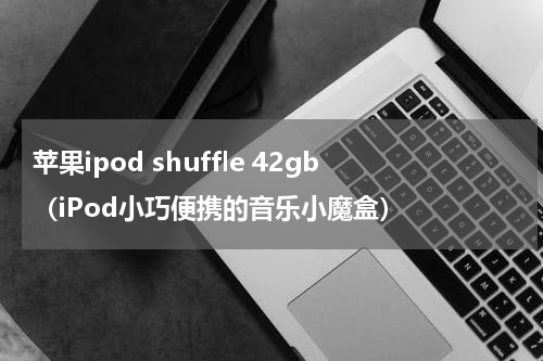 苹果ipod shuffle 42gb（iPod小巧便携的音乐小魔盒）