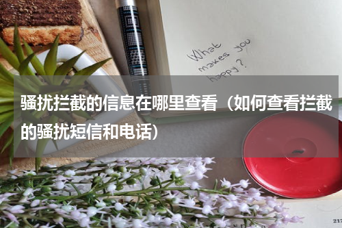 骚扰拦截的信息在哪里查看（如何查看拦截的骚扰短信和电话）