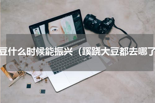 大豆什么时候能振兴（蹊跷大豆都去哪了）