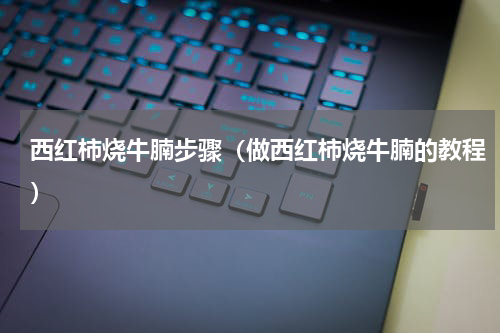 西红柿烧牛腩步骤（做西红柿烧牛腩的教程）