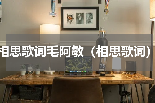 相思歌词毛阿敏（相思歌词）