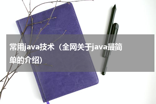 常用java技术（全网关于java最简单的介绍）