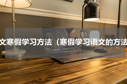 语文寒假学习方法（寒假学习语文的方法）