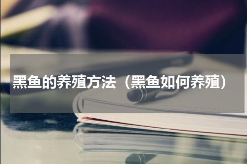 黑鱼的养殖方法（黑鱼如何养殖）