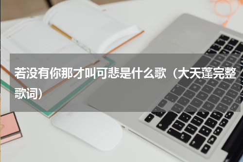 若没有你那才叫可悲是什么歌（大天蓬完整歌词）