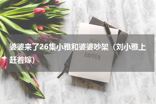 婆婆来了26集小雅和婆婆吵架（刘小雅上赶着嫁）