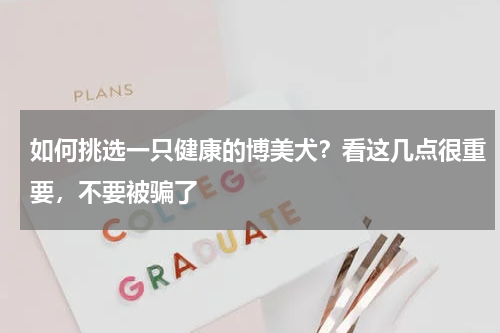如何挑选一只健康的博美犬？看这几点很重要，不要被骗了