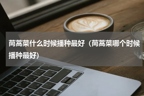 茼蒿菜什么时候播种最好（茼蒿菜哪个时候播种最好）