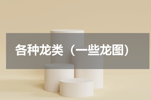 各种龙类（一些龙图）