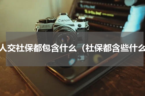 个人交社保都包含什么（社保都含些什么）