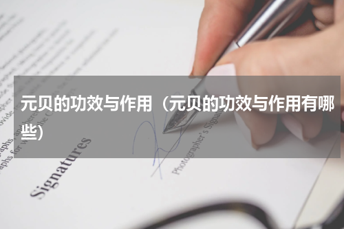 元贝的功效与作用（元贝的功效与作用有哪些）