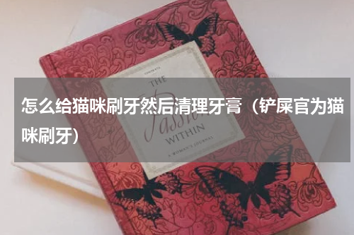 怎么给猫咪刷牙然后清理牙膏（铲屎官为猫咪刷牙）