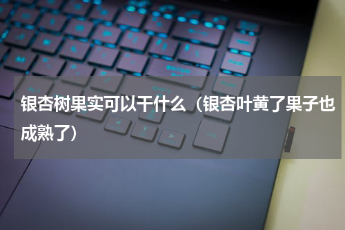 银杏树果实可以干什么（银杏叶黄了果子也成熟了）