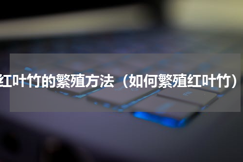 红叶竹的繁殖方法（如何繁殖红叶竹）