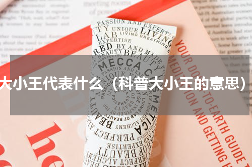 大小王代表什么（科普大小王的意思）