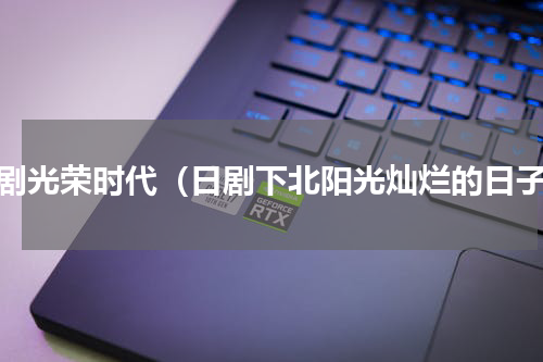 日剧光荣时代（日剧下北阳光灿烂的日子）